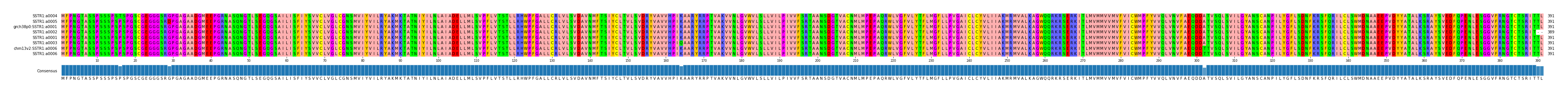 Multiple Alignments (by translate haplotype similarity)
