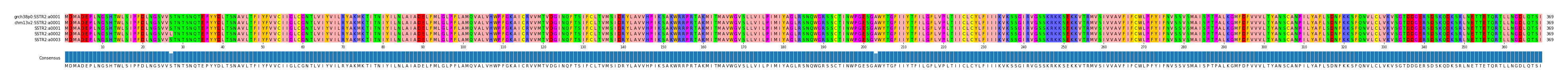 Multiple Alignments (by translate haplotype frequency)