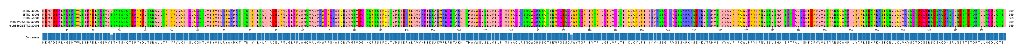 Multiple Alignments (by translate haplotype similarity)