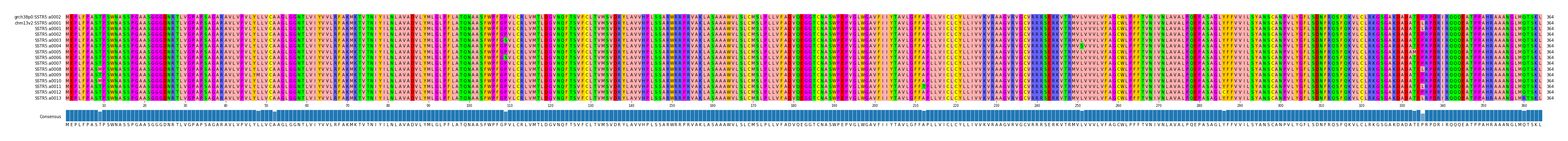 Multiple Alignments (by translate haplotype frequency)