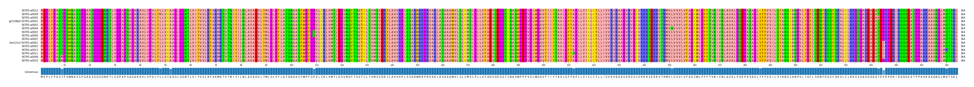 Multiple Alignments (by translate haplotype similarity)