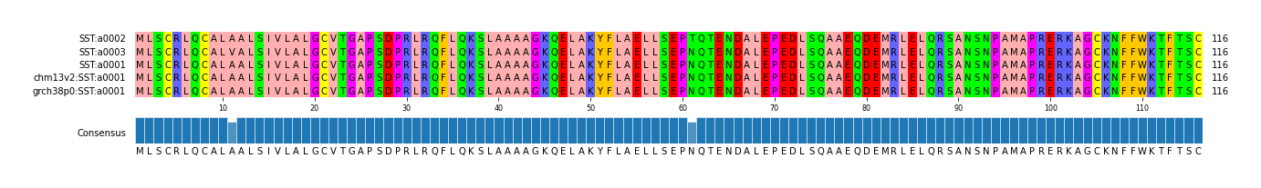 Multiple Alignments (by translate haplotype similarity)