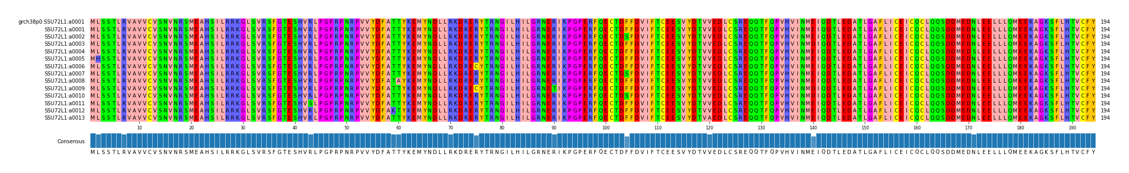 Multiple Alignments (by translate haplotype frequency)