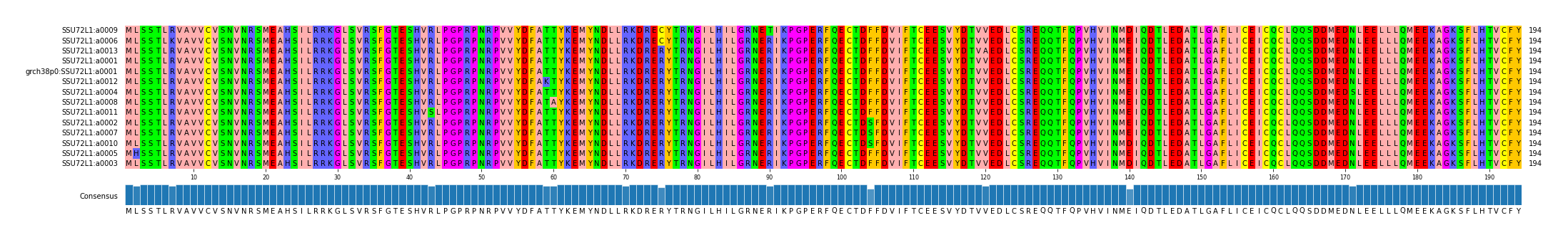 Multiple Alignments (by translate haplotype similarity)