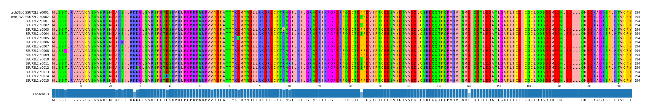 Multiple Alignments (by translate haplotype frequency)