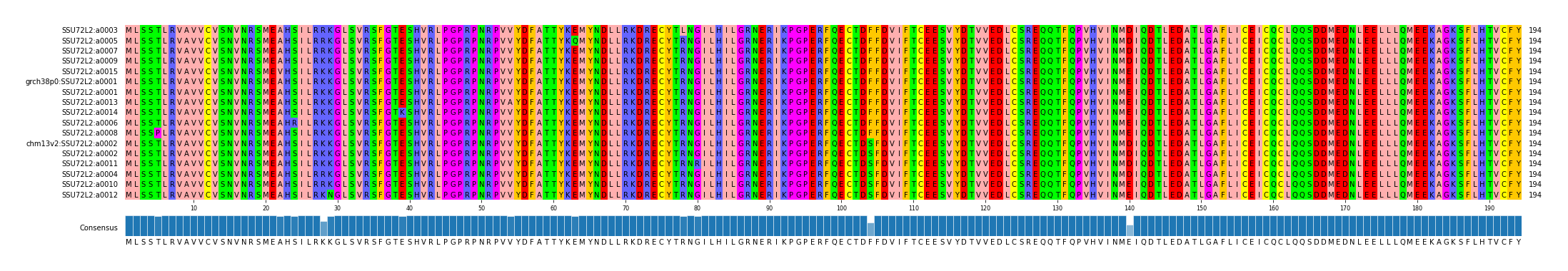 Multiple Alignments (by translate haplotype similarity)