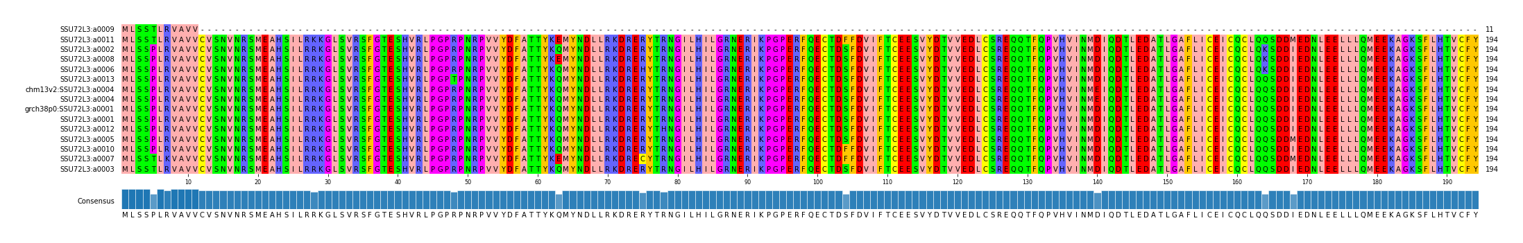 Multiple Alignments (by translate haplotype similarity)