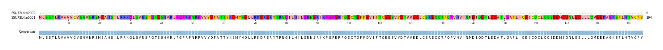 Multiple Alignments (by translate haplotype similarity)