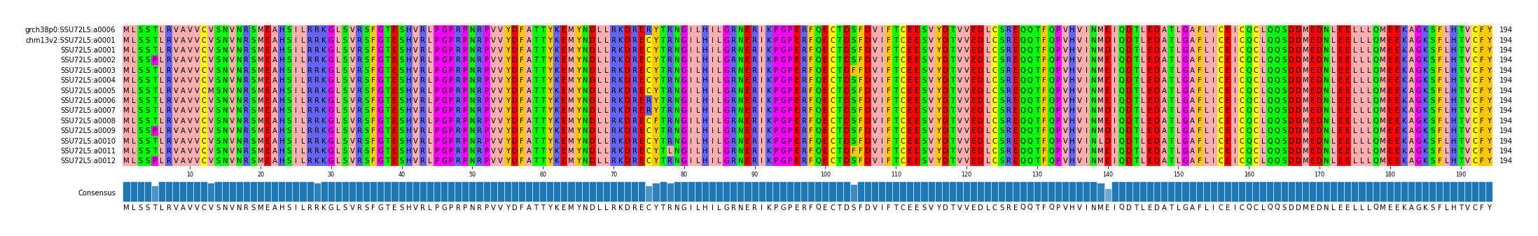 Multiple Alignments (by translate haplotype frequency)