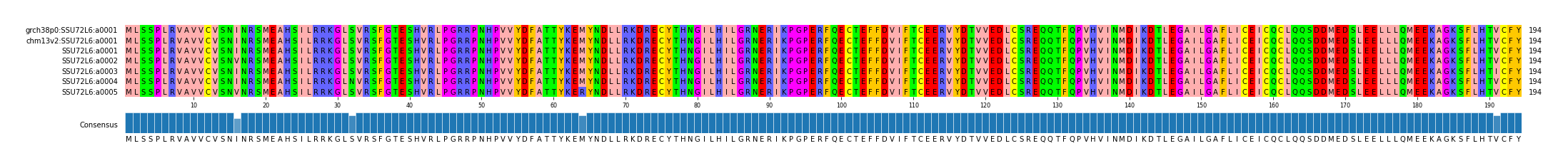 Multiple Alignments (by translate haplotype frequency)