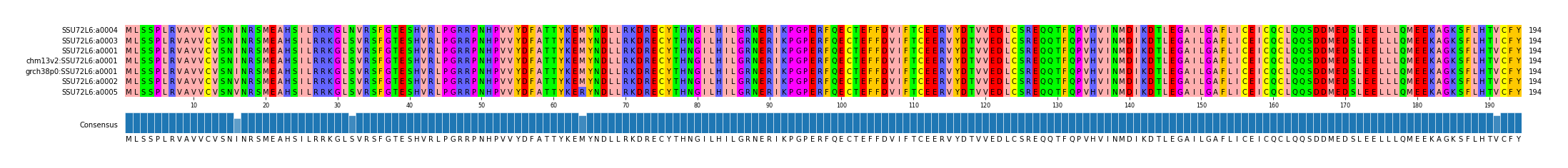 Multiple Alignments (by translate haplotype similarity)