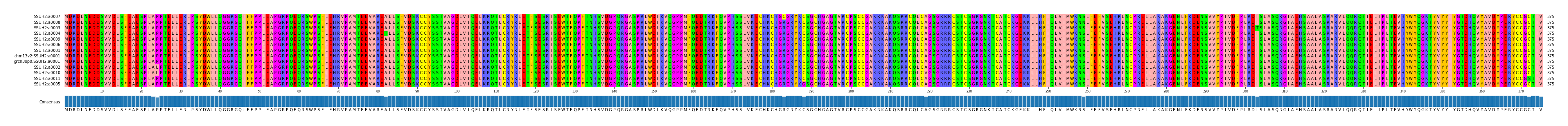 Multiple Alignments (by translate haplotype similarity)