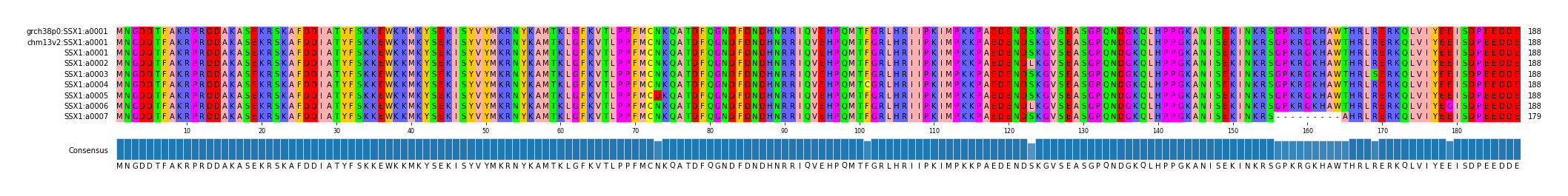 Multiple Alignments (by translate haplotype frequency)