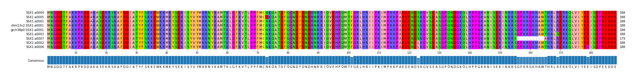 Multiple Alignments (by translate haplotype similarity)