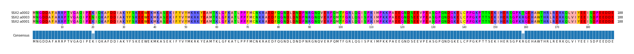 Multiple Alignments (by translate haplotype similarity)