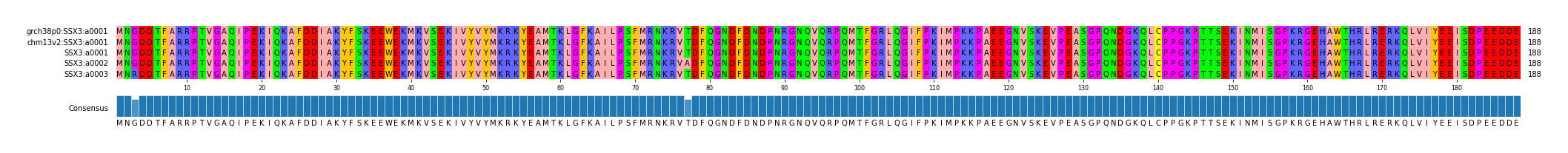 Multiple Alignments (by translate haplotype frequency)