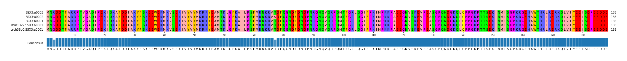 Multiple Alignments (by translate haplotype similarity)
