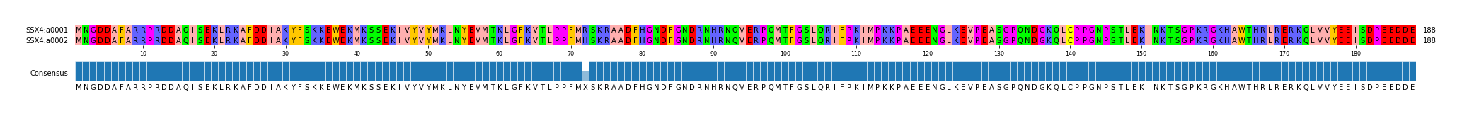 Multiple Alignments (by translate haplotype frequency)