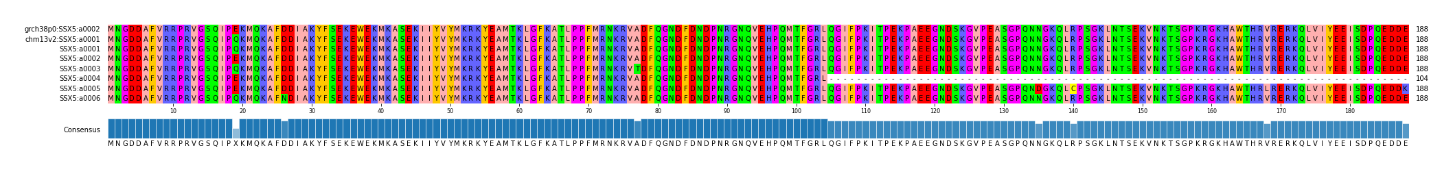 Multiple Alignments (by translate haplotype frequency)