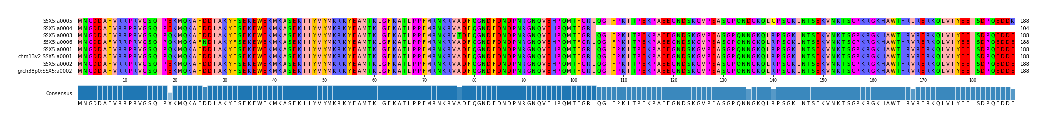 Multiple Alignments (by translate haplotype similarity)