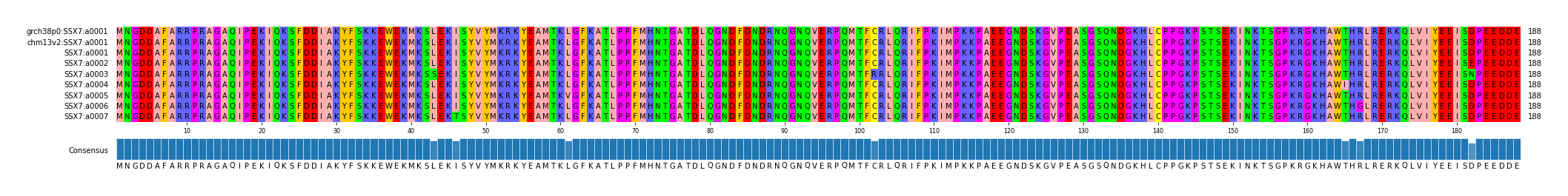 Multiple Alignments (by translate haplotype frequency)