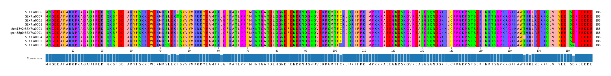 Multiple Alignments (by translate haplotype similarity)