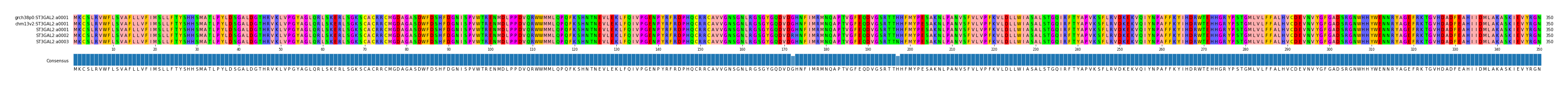 Multiple Alignments (by translate haplotype frequency)