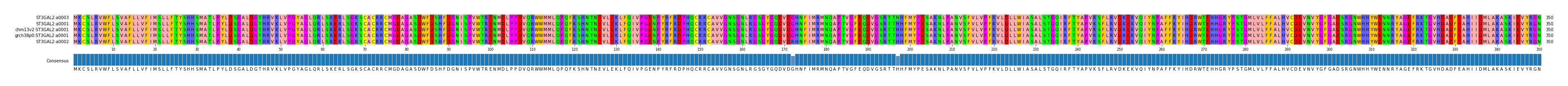 Multiple Alignments (by translate haplotype similarity)