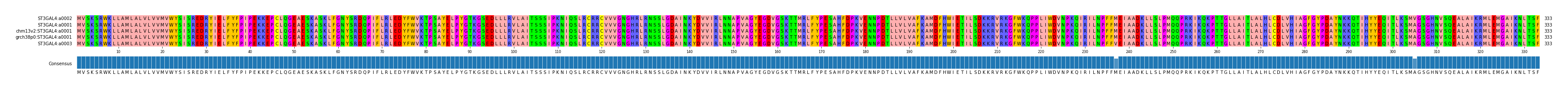 Multiple Alignments (by translate haplotype similarity)
