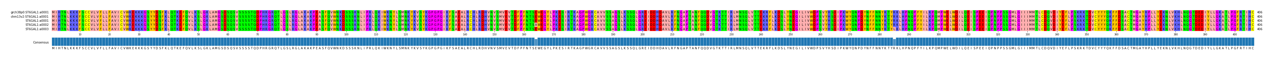 Multiple Alignments (by translate haplotype frequency)