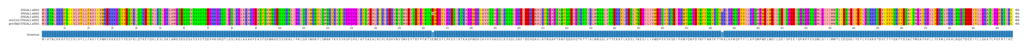 Multiple Alignments (by translate haplotype similarity)