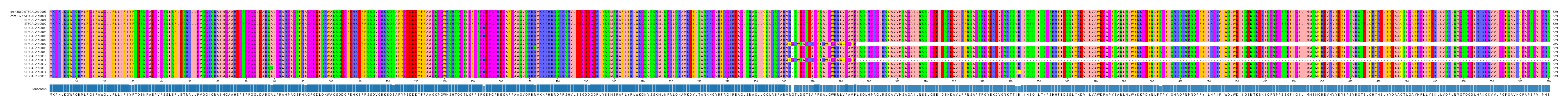 Multiple Alignments (by translate haplotype frequency)