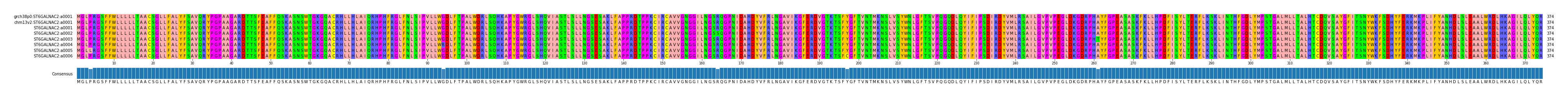 Multiple Alignments (by translate haplotype frequency)