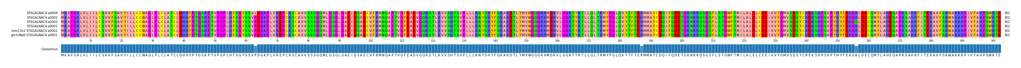 Multiple Alignments (by translate haplotype similarity)