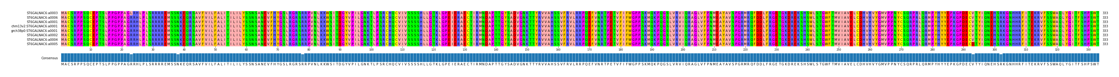 Multiple Alignments (by translate haplotype similarity)