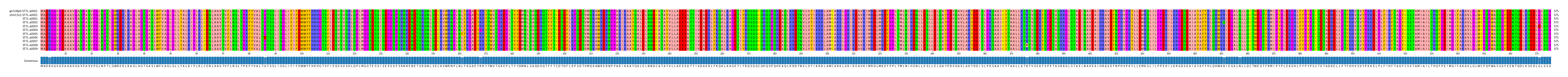 Multiple Alignments (by translate haplotype frequency)