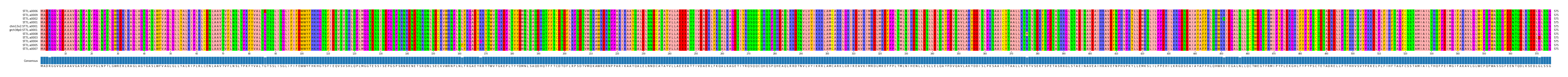 Multiple Alignments (by translate haplotype similarity)