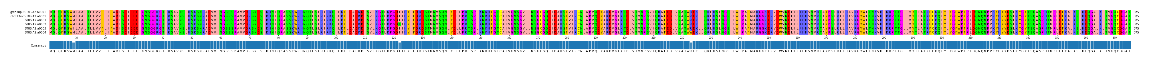 Multiple Alignments (by translate haplotype frequency)