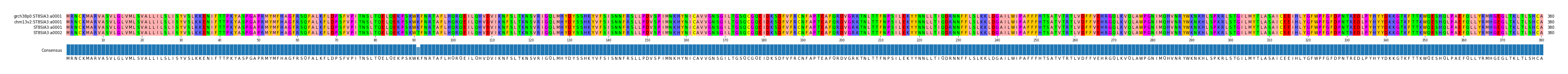 Multiple Alignments (by translate haplotype frequency)