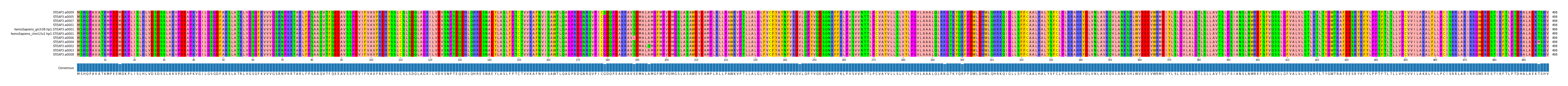 Multiple Alignments (by translate haplotype similarity)