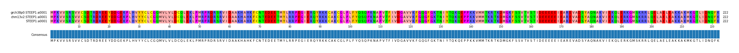 Multiple Alignments (by translate haplotype similarity)