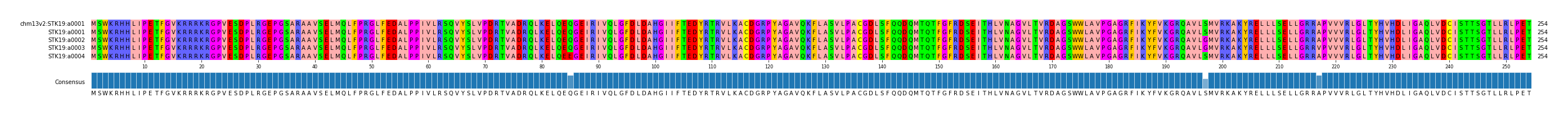Multiple Alignments (by translate haplotype frequency)
