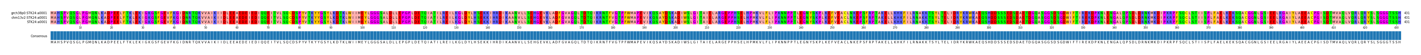 Multiple Alignments (by translate haplotype similarity)