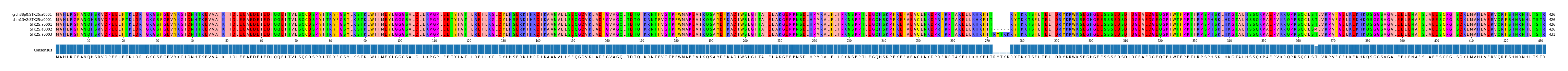 Multiple Alignments (by translate haplotype frequency)