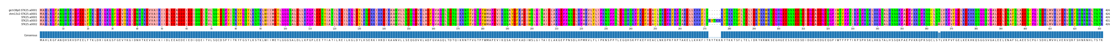 Multiple Alignments (by translate haplotype similarity)