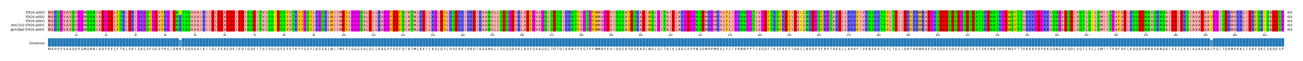 Multiple Alignments (by translate haplotype similarity)