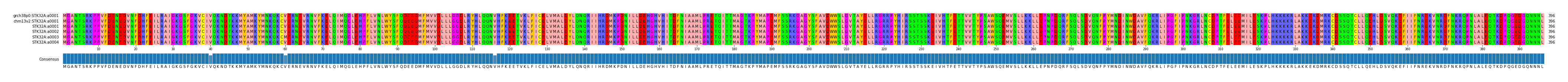 Multiple Alignments (by translate haplotype frequency)