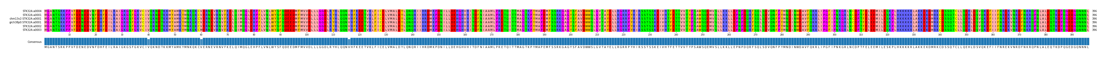 Multiple Alignments (by translate haplotype similarity)