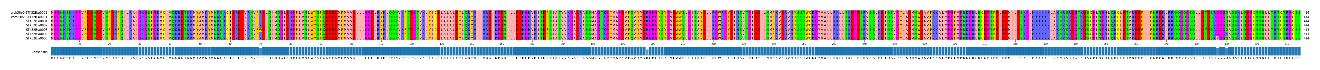 Multiple Alignments (by translate haplotype frequency)