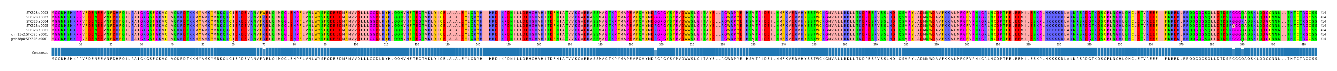 Multiple Alignments (by translate haplotype similarity)